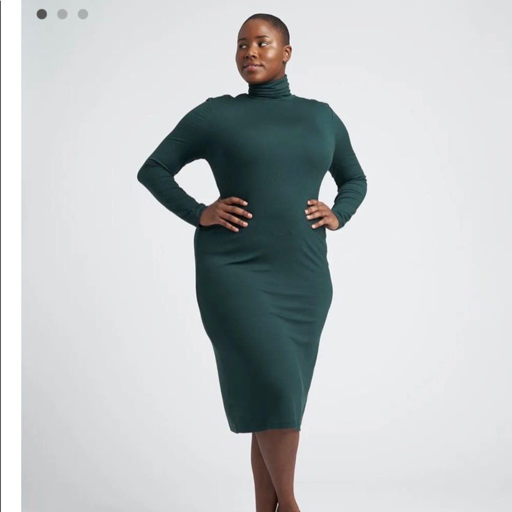 Universal Standard XS turtleneck foundation dress